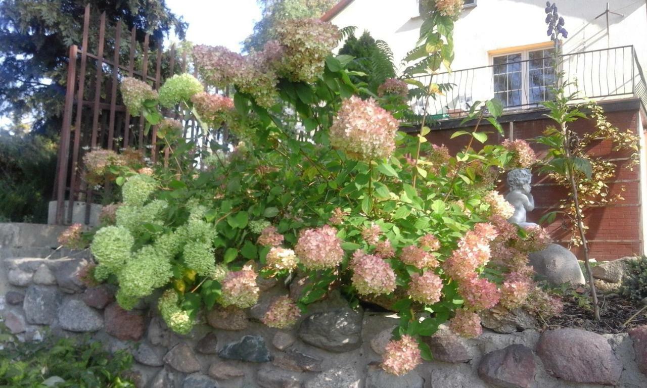 Homestay Cztery Pory Roku *